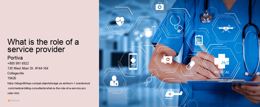What is the role of a service provider
