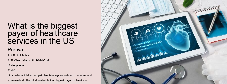 What is the biggest payer of healthcare services in the US