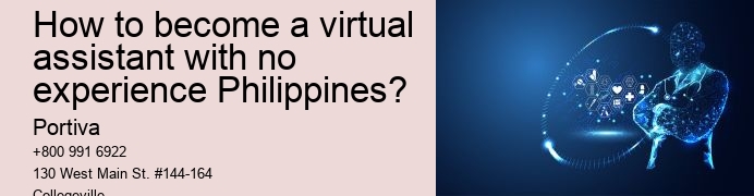 How to become a virtual assistant with no experience Philippines?