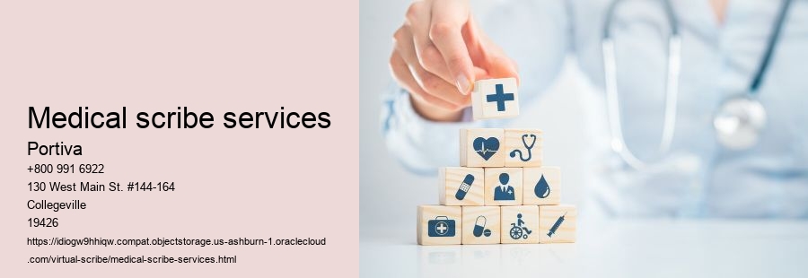 medical scribe services